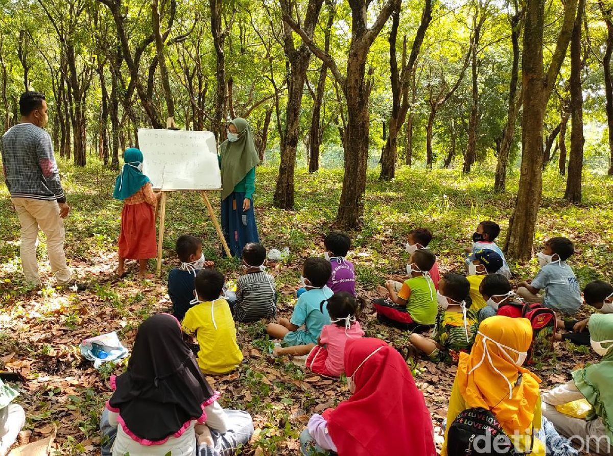 Pendidikan Berbasis Alam: Saat Hutan dan Sawah Jadi Ruang Kelas Alternatif