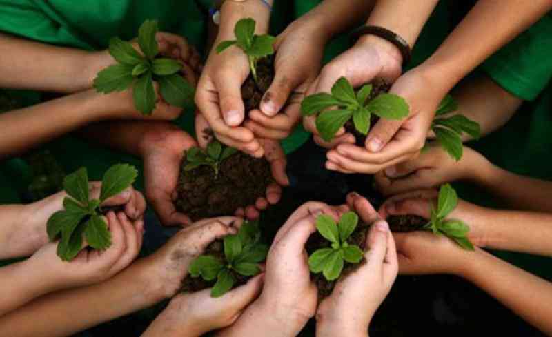 Pendidikan Lingkungan Hidup di Sekolah Pedesaan